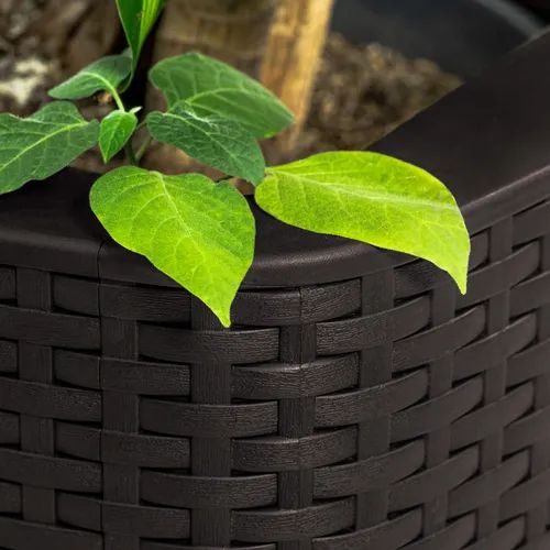 Matera Rattan - Capri MQ
