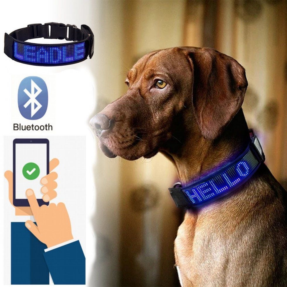 Collar LED Para Mascotas
