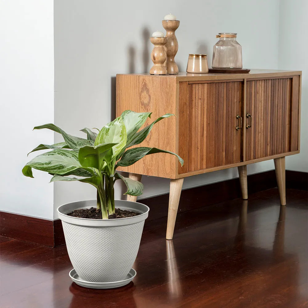 Matera Redonda Rafia 30 Cm Con Plato