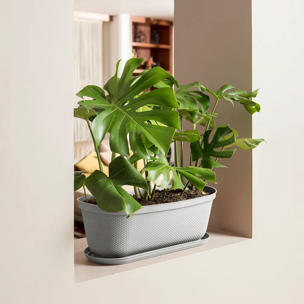 Matera moderna Ovalada Rafia 60 Cm con Plato