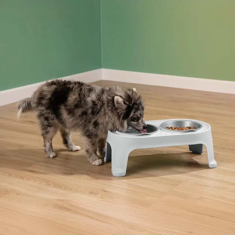 Comedero Alto Para Perro Pequeño - Rimax