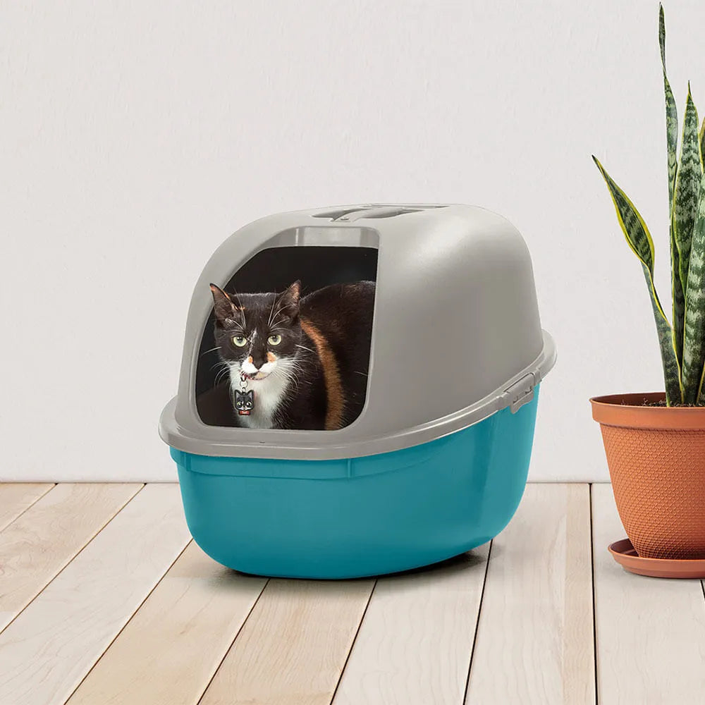 Combo Mascota Gatos (Arenero + Comedero Alto) - Rimax