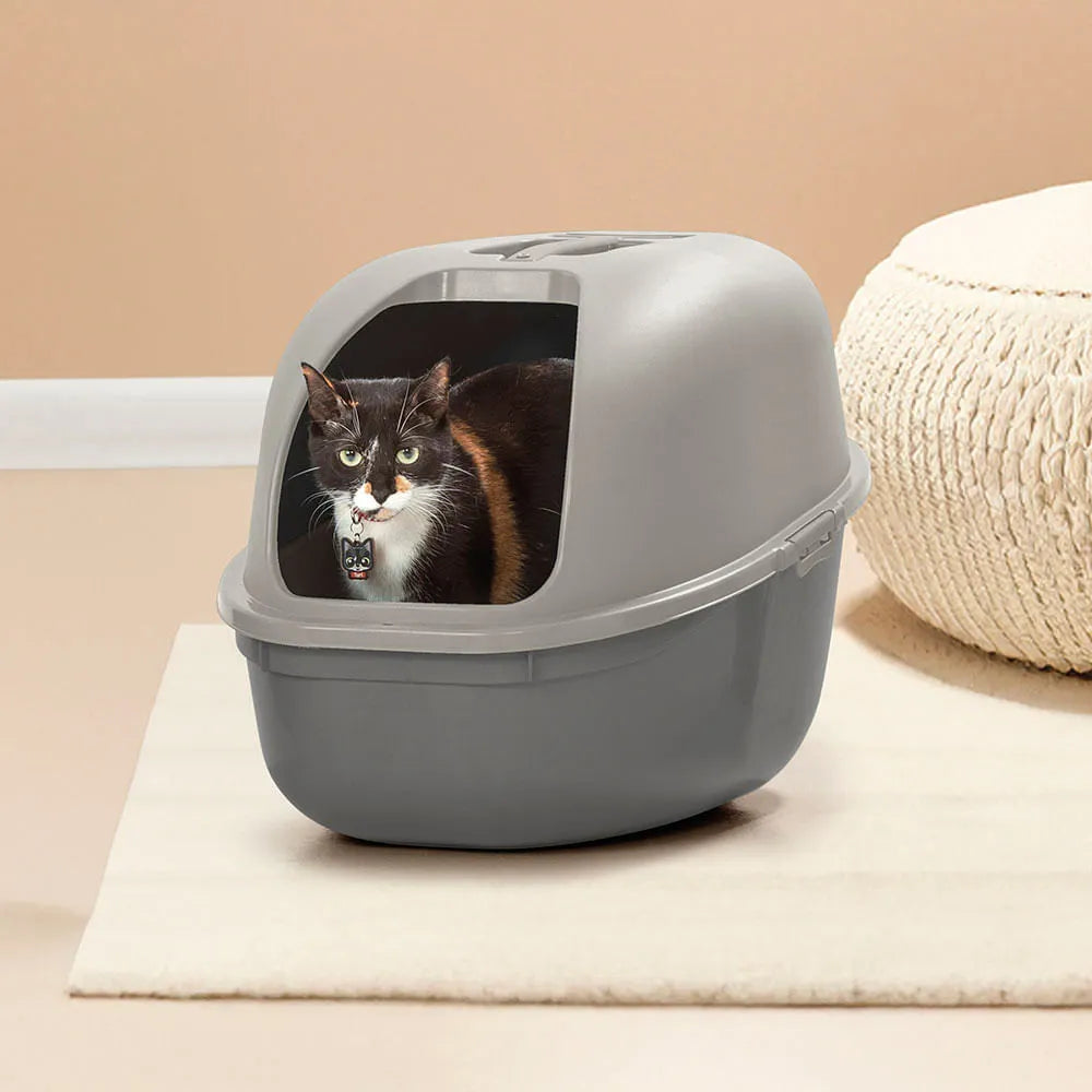 Combo Mascota Gatos (Arenero + Comedero Alto) - Rimax