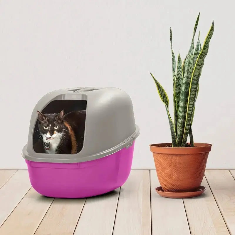 Arenero Para Gato - Rimax - Muebles Dummi