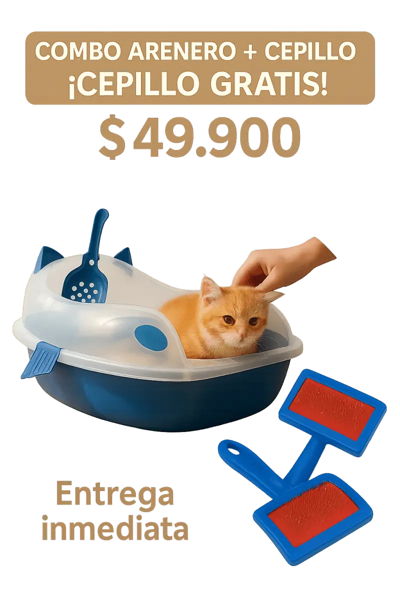 Arenero Premium Con Cepillo Para Gatos - Muebles Dummi