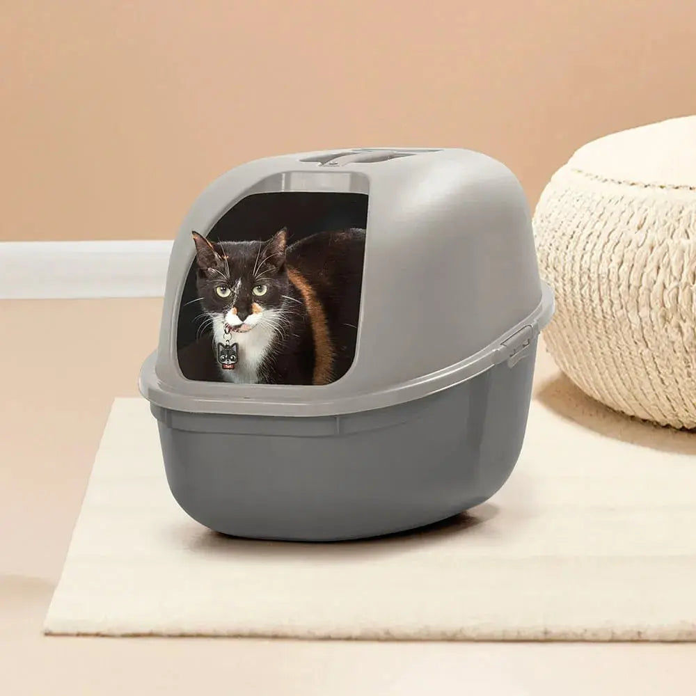 Combo Mascota Gatos (Arenero + Comedero Alto) - Rimax - Muebles Dummi