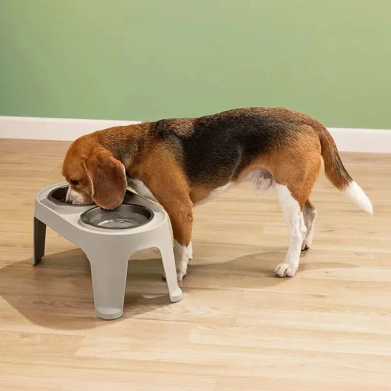 Comedero Alto Para Perro Grande - Rimax - Muebles Dummi