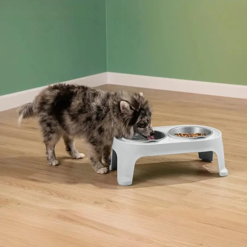 Comedero Alto Para Perro Pequeño - Rimax - Muebles Dummi