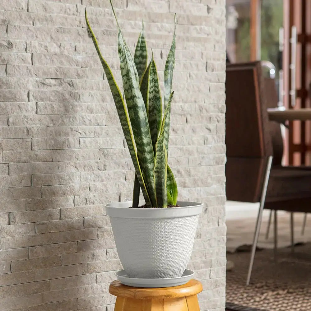Matera Redonda Rafia 25 Cm Con Plato - Muebles Dummi