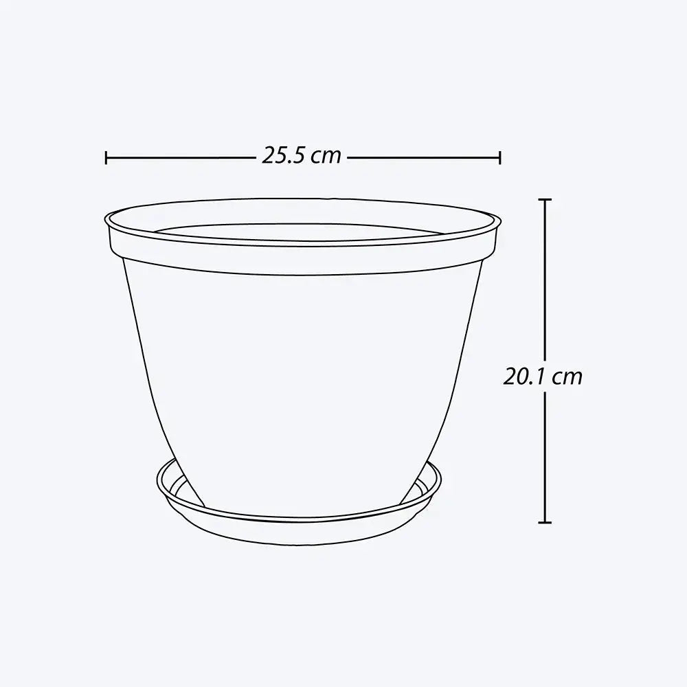 Matera Redonda Rafia 25 Cm Con Plato - Muebles Dummi