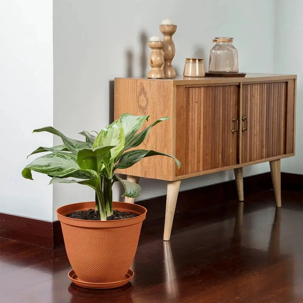 Matera Redonda Rafia 30 Cm Con Plato - Muebles Dummi