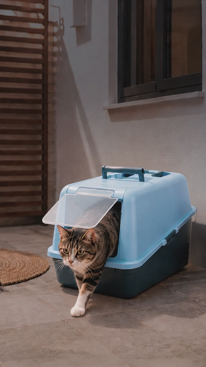 Arenero Para Gato Con Puerta - Rimax