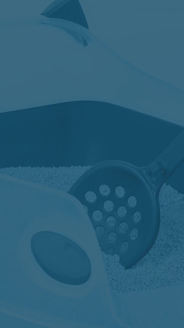 Arenero Premium Con Cepillo Para Gatos