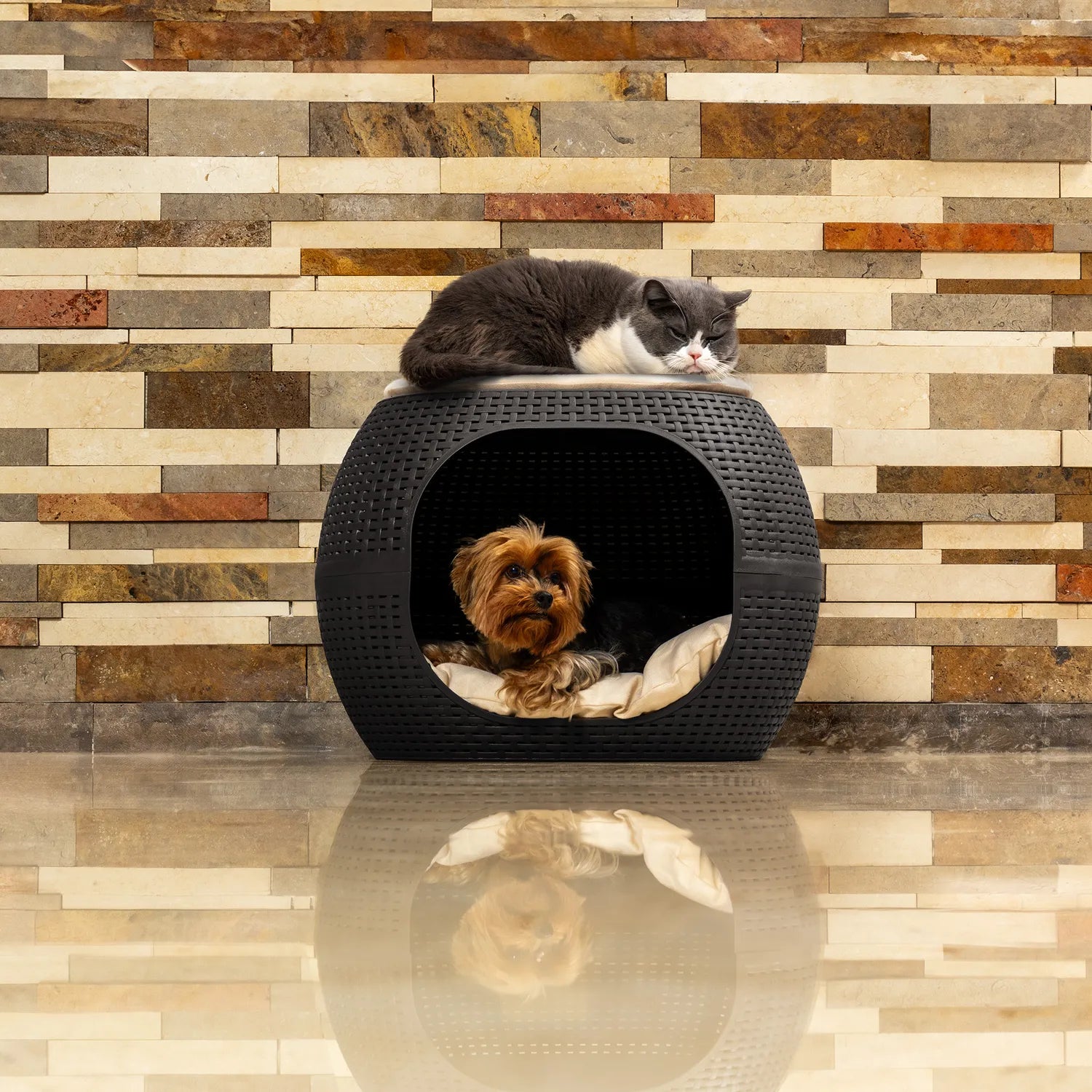 Cama Para Mascotas Con Cojin - Perro o Gato - MQ